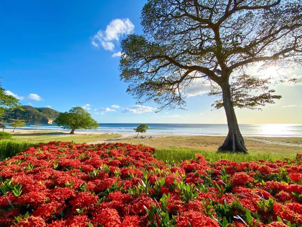 Mukul Resort 톨라 외부 사진